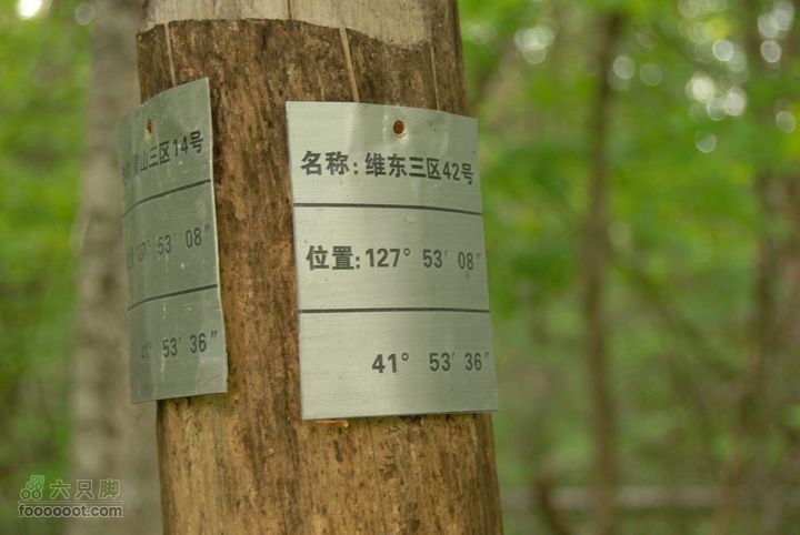 2010端午长白山锦江峡谷穿越端午锦江峡谷 (415)