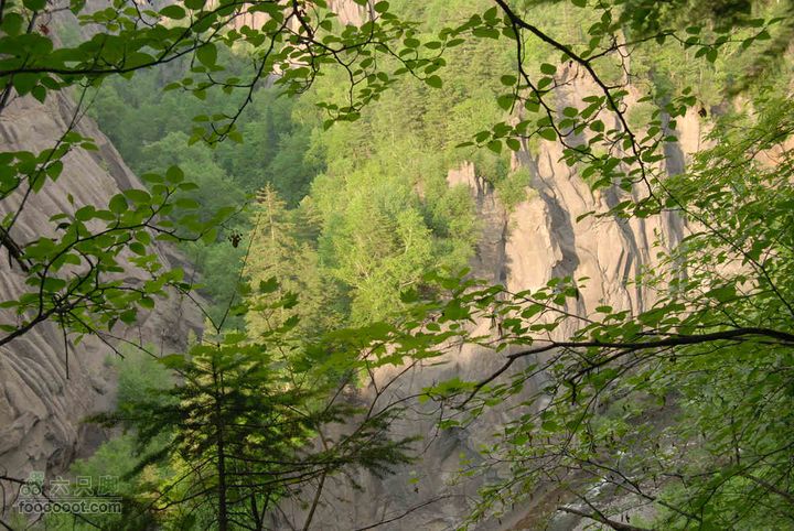 2010端午长白山锦江峡谷穿越端午锦江峡谷 (422)