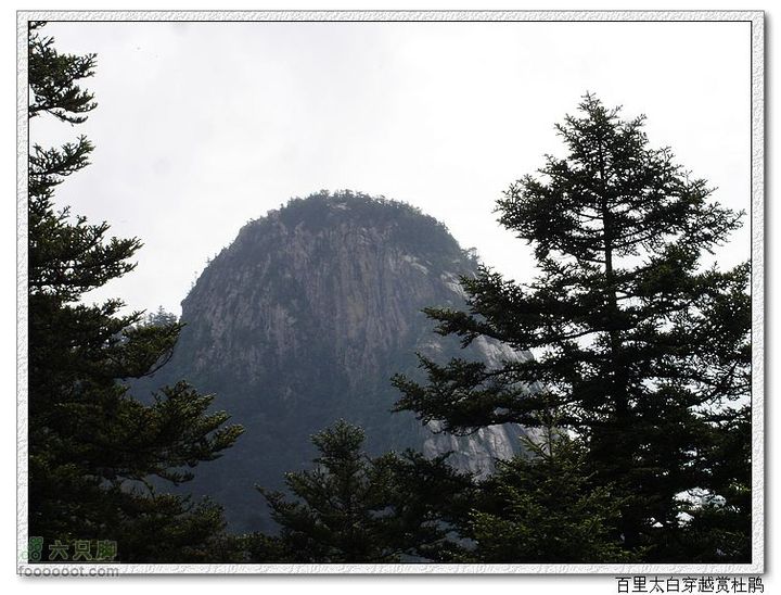 百里太白穿越赏高原杜鹃天柱山