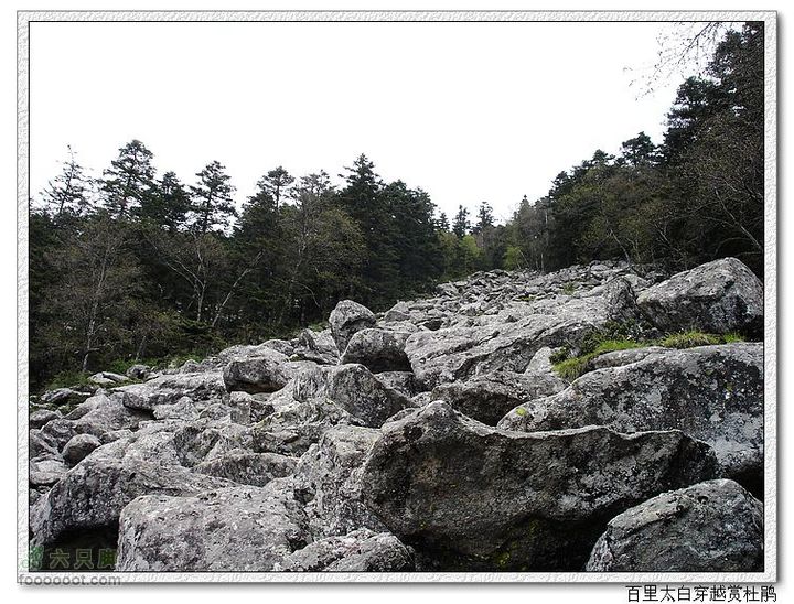 百里太白穿越赏高原杜鹃第四纪冰川遗迹