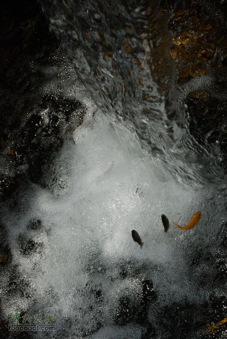 箭扣休闲摄影，偶遇大蛇DSC_1000