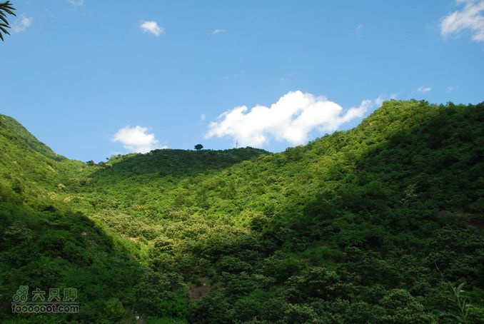 箭扣休闲摄影，偶遇大蛇DSC_1131