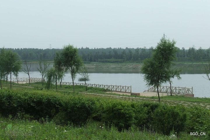 灵宝寺-圣水寺-慈觉寺-新区DSCF027