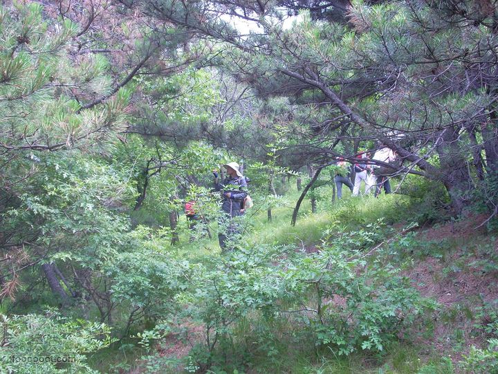 2010.06.26转山DSCN7734_眸目压缩