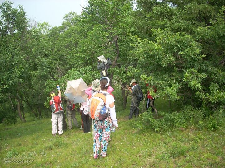 2010.06.26转山DSCN7738_眸目压缩