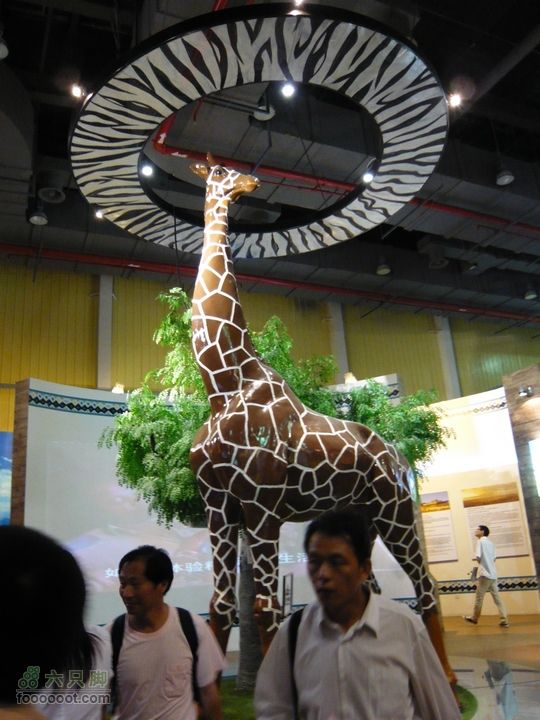 世博游20100610P1110118 非洲联合馆