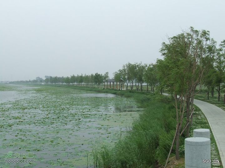 铁岭新区湖(河)边骑行DSCF2556