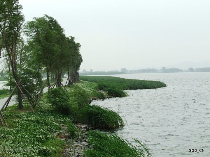 铁岭新区湖(河)边骑行DSCF2521
