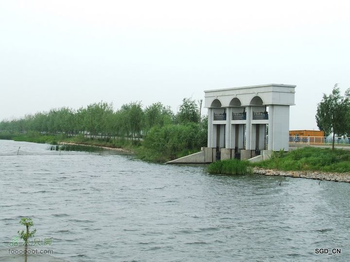 铁岭新区湖(河)边骑行DSCF2522