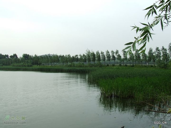 铁岭新区湖(河)边骑行DSCF2523