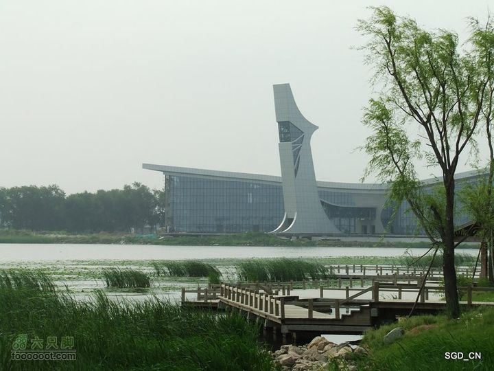 铁岭新区湖(河)边骑行DSCF2524