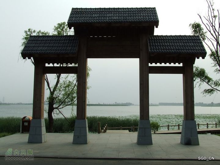 铁岭新区湖(河)边骑行DSCF2526