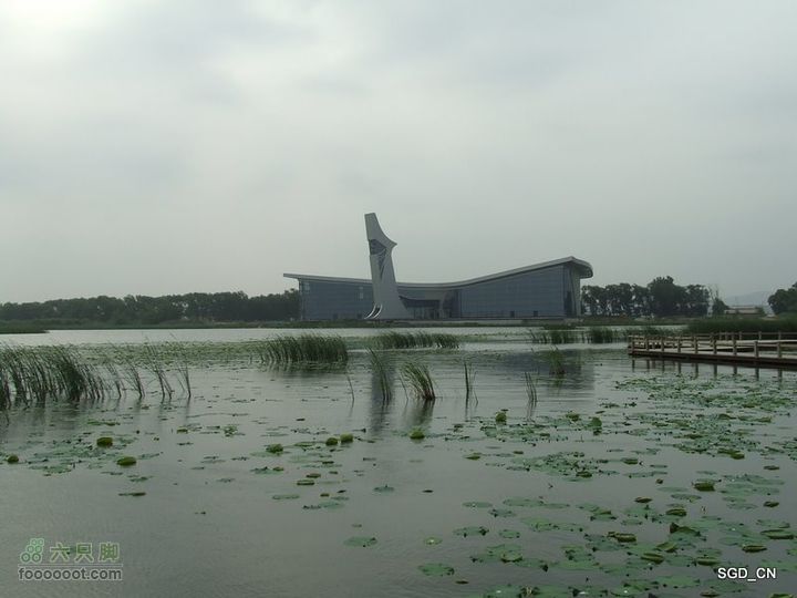 铁岭新区湖(河)边骑行DSCF2529