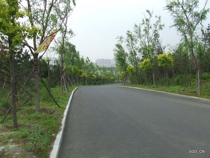 铁岭新区湖(河)边骑行DSCF2532