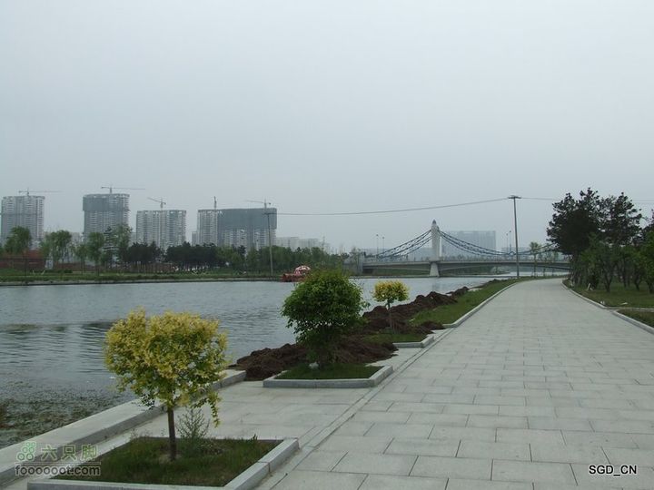 铁岭新区湖(河)边骑行DSCF2544