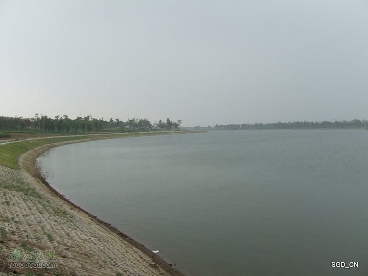 铁岭新区湖(河)边骑行DSCF2546