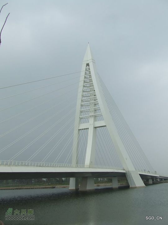 铁岭新区湖(河)边骑行DSCF2547
