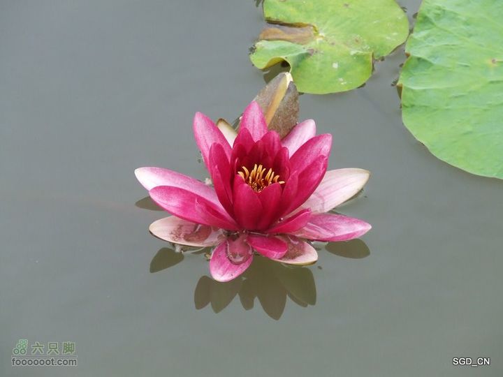 铁岭新区湖(河)边骑行DSCF2551