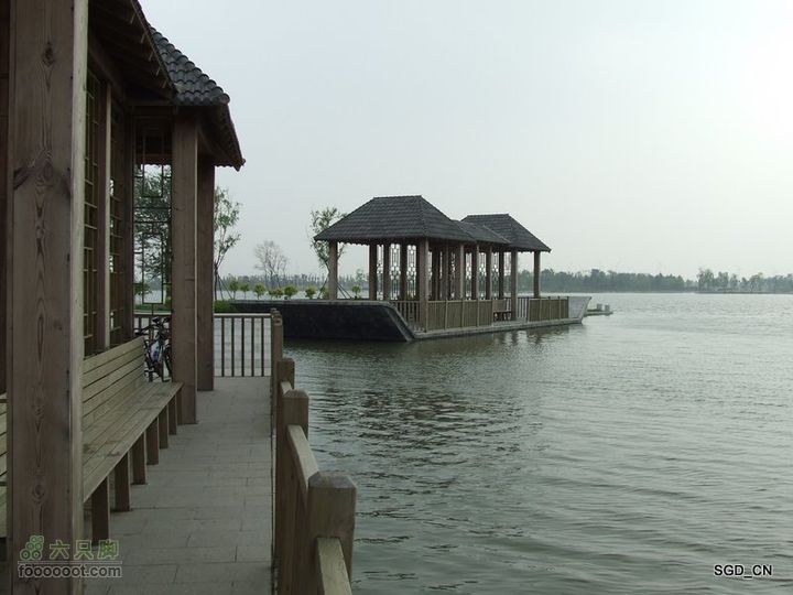 铁岭新区湖(河)边骑行DSCF2552