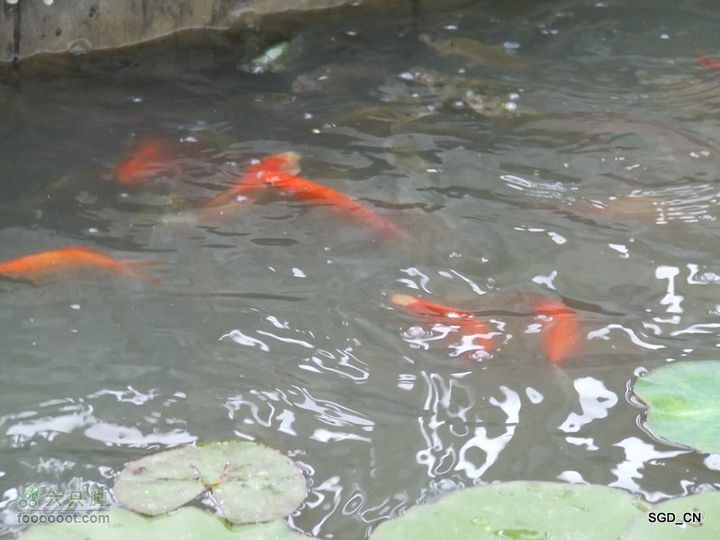 铁岭新区湖(河)边骑行DSCF2553