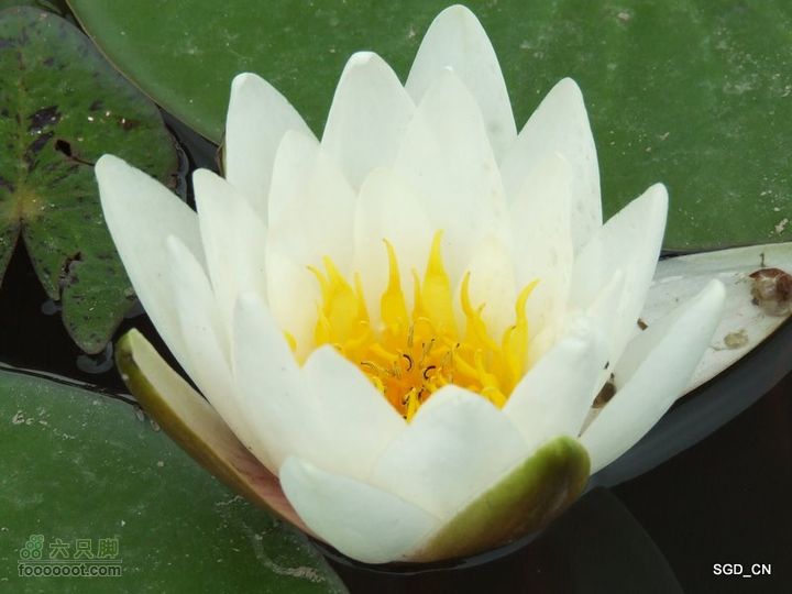 铁岭新区湖(河)边骑行DSCF2554