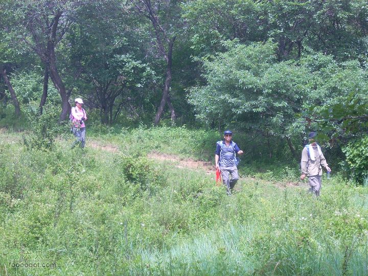 2010.07.03转山DSCN7772_眸目压缩