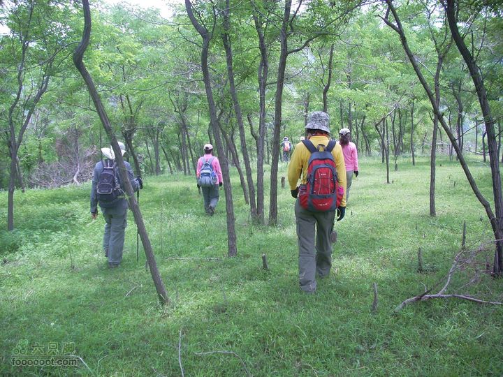 2010.07.03转山DSCN7779_眸目压缩