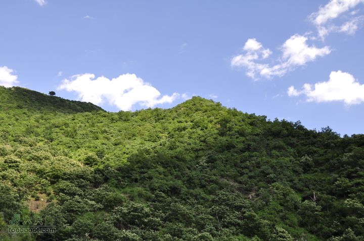 箭扣休闲摄影，偶遇大蛇光与影
