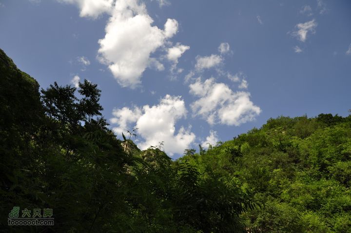 箭扣休闲摄影，偶遇大蛇美图 (2)