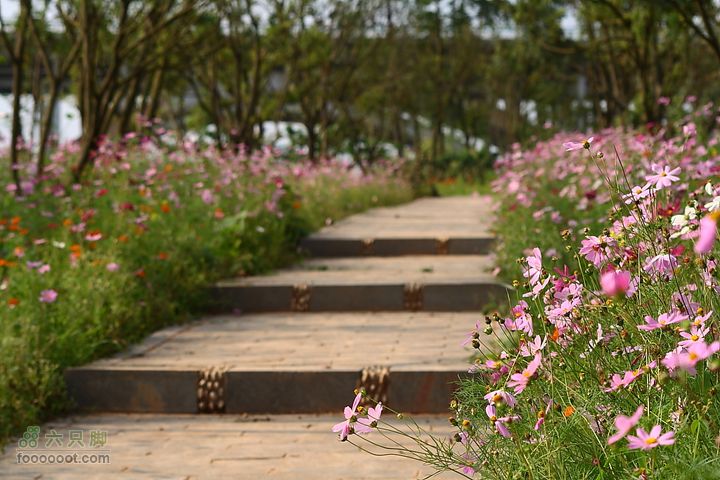 贵阳－观山公园IMG_0790