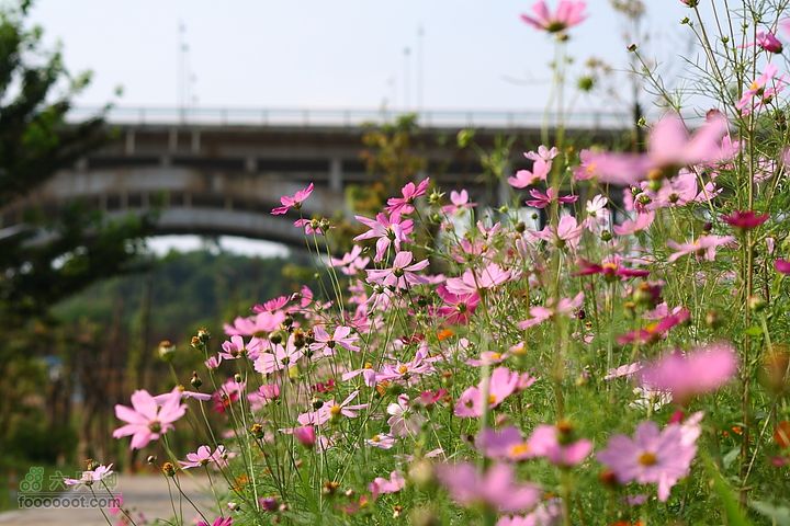 贵阳－观山公园IMG_0786