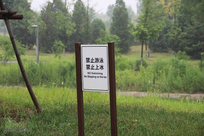 继续新的奥林匹克公园IMG_1860_眸目压缩_眸目压缩