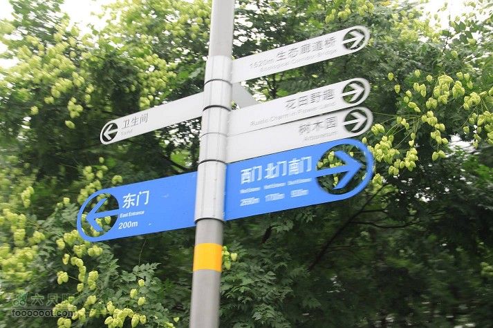 继续新的奥林匹克公园IMG_1948_眸目压缩_眸目压缩