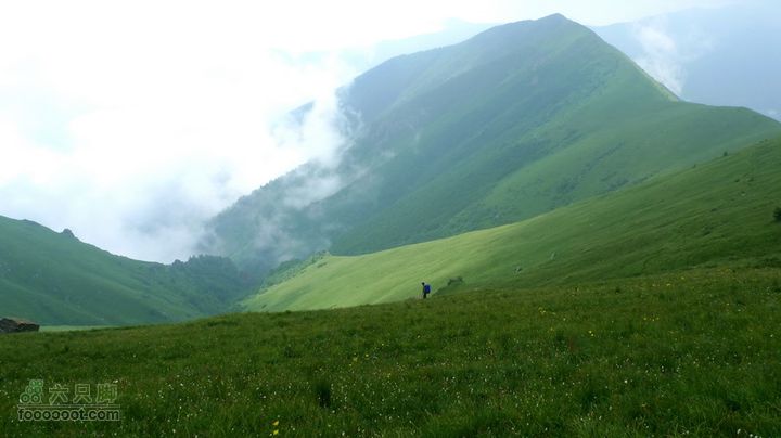 小五台 北台上-东台-山涧口下高山草甸子