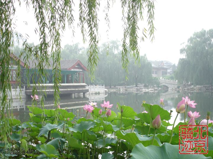 北京骑迹24 在蒙蒙细雨中寻访即将成为历史的区政府nEO_IMG_DSC04355