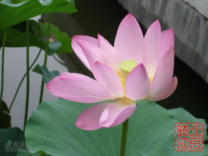 北京骑迹24 在蒙蒙细雨中寻访即将成为历史的区政府nEO_IMG_DSC04356