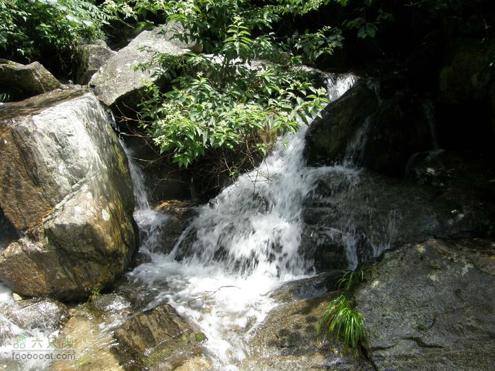 月亮之都游-宜春明月山至十八排徒步往返穿越P7173026