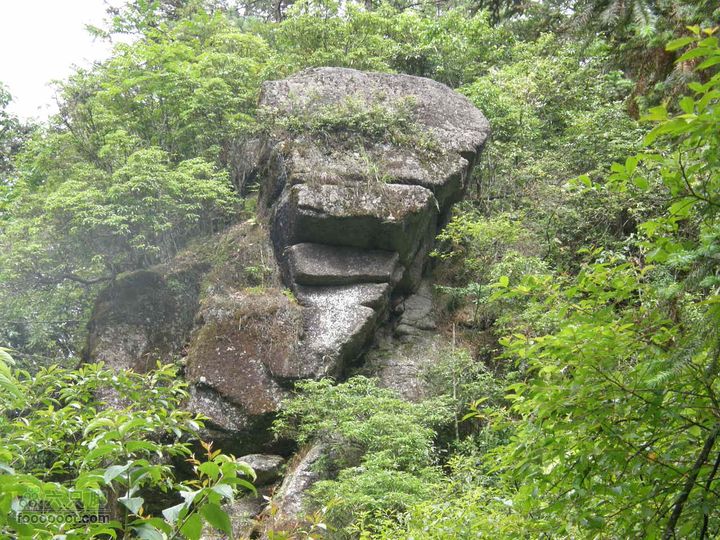 月亮之都游-宜春明月山至十八排徒步往返穿越P7173081