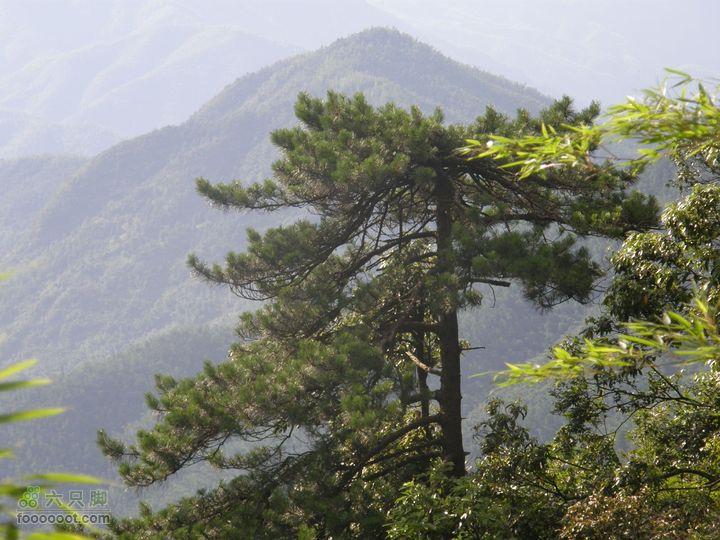 月亮之都游-宜春明月山至十八排徒步往返穿越P7173130
