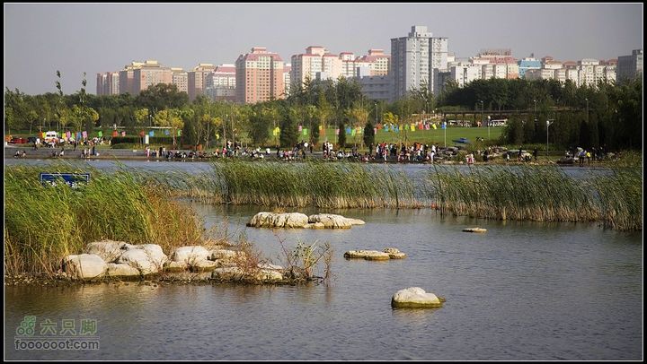 北京森林公园IMG_1048