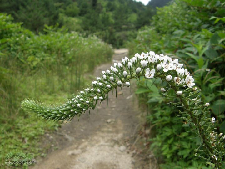 月亮之都游-宜春明月山至十八排徒步往返穿越P7173085