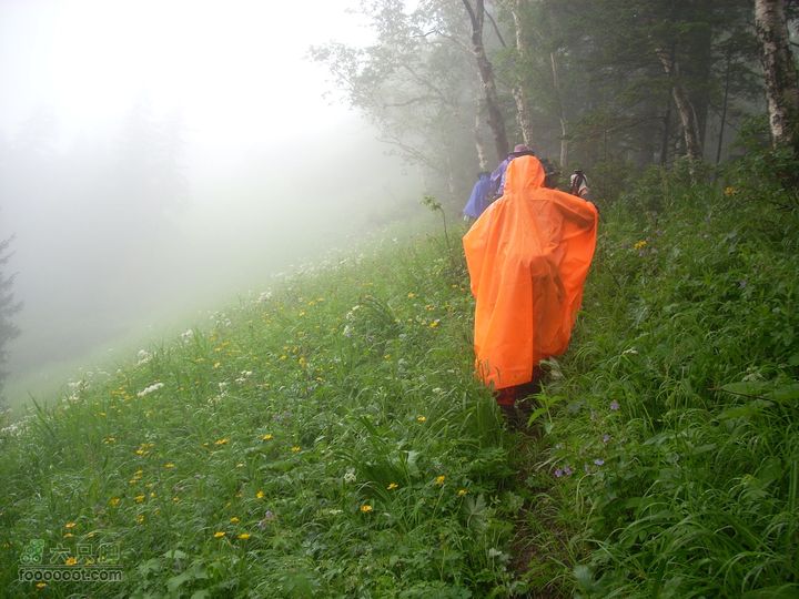 2010雨中望天鹅第二台阶山脊