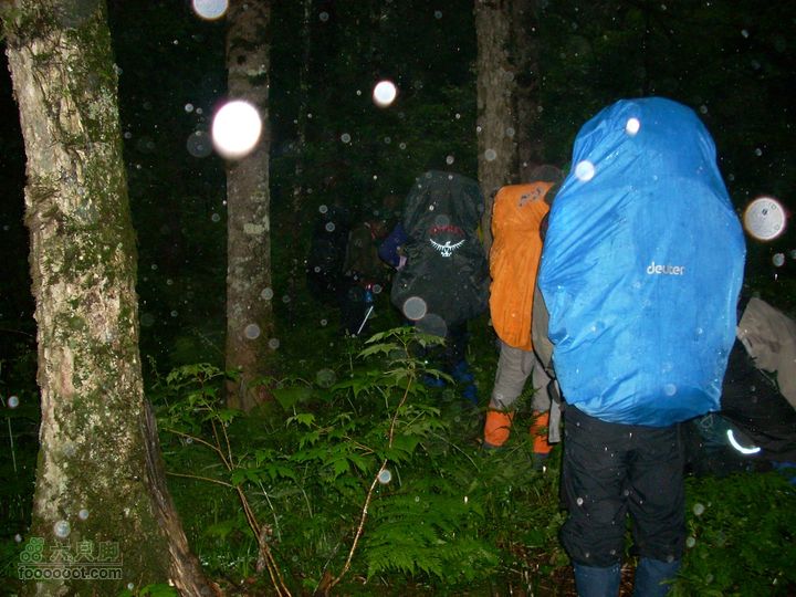 2010雨中望天鹅阴森恐怖的原始森林穿越