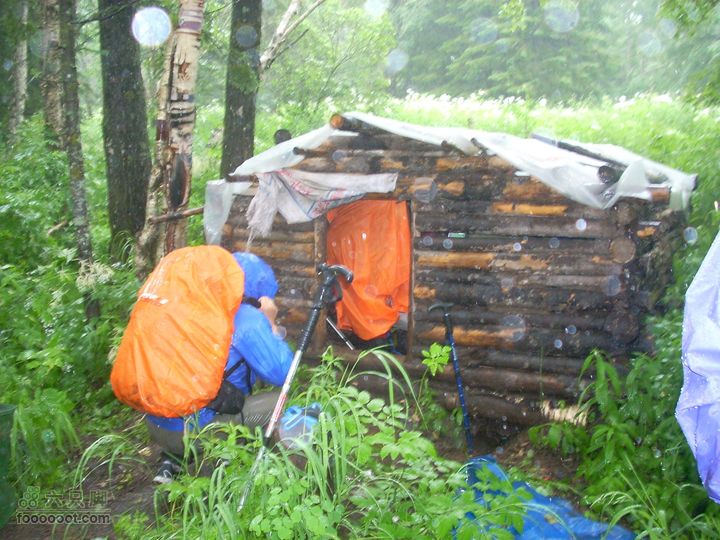 2010雨中望天鹅传说中的神秘小木屋