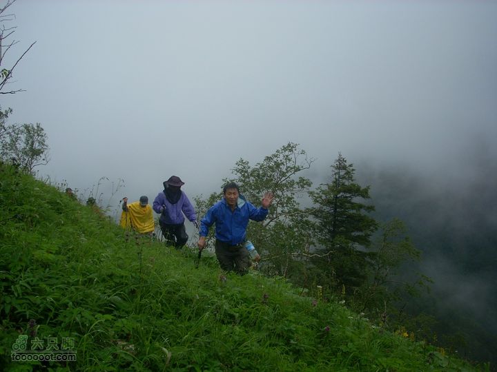 2010雨中望天鹅DSCN7850_眸目压缩