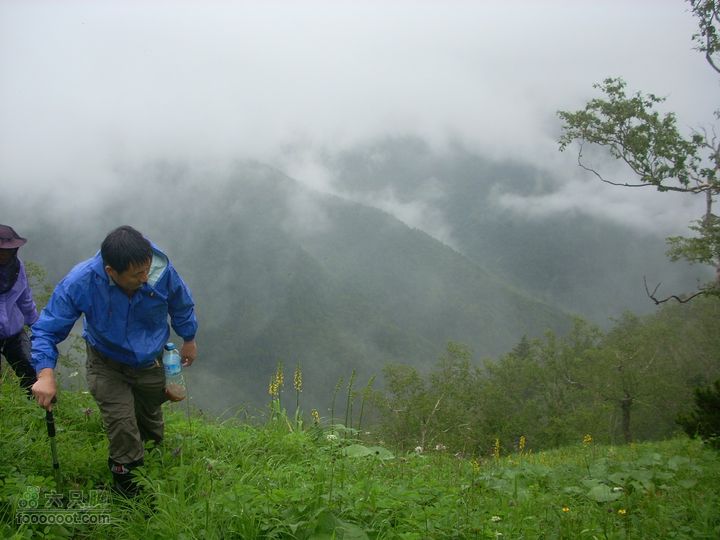 2010雨中望天鹅DSCN7851_眸目压缩