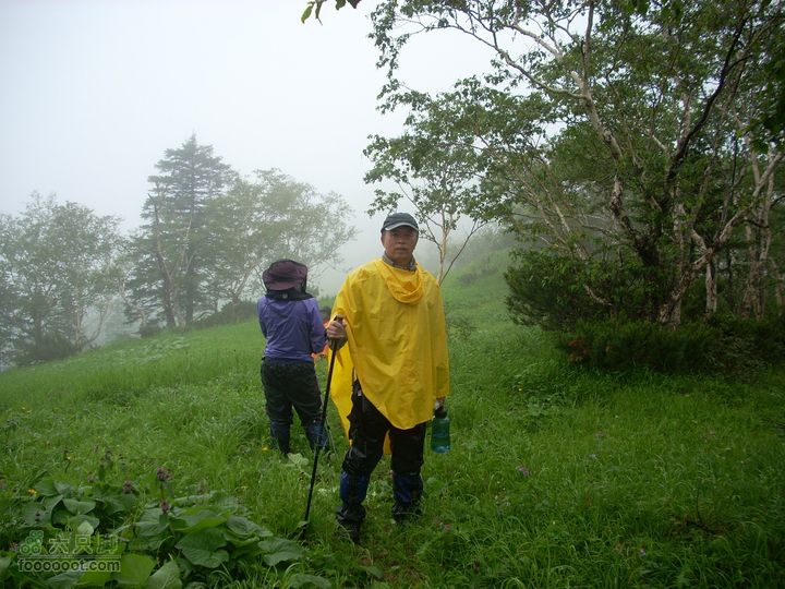 2010雨中望天鹅天山草