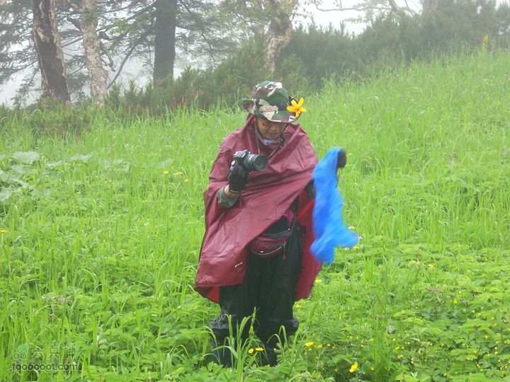 2010雨中望天鹅快乐鸟
