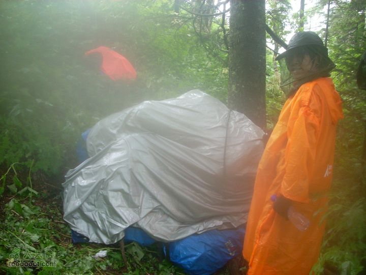 2010雨中望天鹅大包存放处