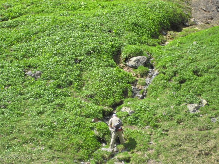 2010长白山西坡天池2010.07.17 246_眸目压缩